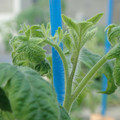 34005_20181009160723_01.JPG