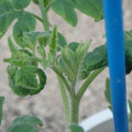 34005_20181009160813_01.JPG