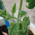 34005_20181009160903_01.JPG