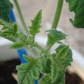 34005_20181009160905_01.JPG