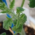 34005_20181009160906_01.JPG