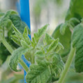 34005_20181009160923_01.JPG