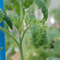 34005_20181009160939_01.JPG