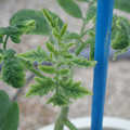 34005_20181009161108_01.JPG