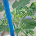 34005_20181009161129_01.JPG