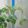 34005_20181009161211_01.JPG