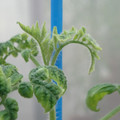 34005_20181009161212_01.JPG