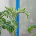 34005_20181009161213_01.JPG