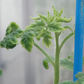 34005_20181009161231_01.JPG