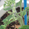 34005_20181009161337_01.JPG