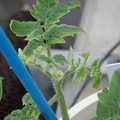 34005_20181009161410_01.JPG