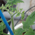 34005_20181009161413_01.JPG