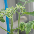 34005_20181009161432_01.JPG