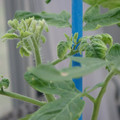34005_20181009161510_01.JPG
