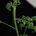529901_20171124124605_01.JPG