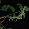 529901_20171124124809_01.JPG
