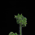 529901_20171124125309_01.JPG
