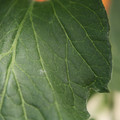 085001_20180605102523_01.JPG