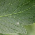 085001_20180605102719_02.JPG