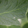 085001_20180605102729_03.JPG