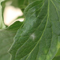 085001_20180605102803_02.JPG