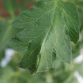 085002_20180711081333_01.JPG