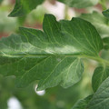 085002_20180711081503_02.JPG