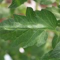 085002_20180711081504_02.JPG