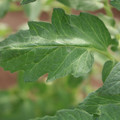085002_20180711081506_03.JPG