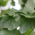 085002_20180816080916_02.JPG