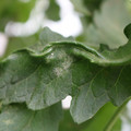 085002_20180816080917_01.JPG