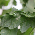 085002_20180816080917_04.JPG