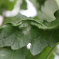 085002_20180816080918_02.JPG