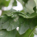 085002_20180816080918_03.JPG