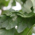 085002_20180816080918_04.JPG