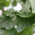 085002_20180816080919_02.JPG