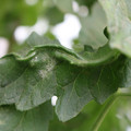085002_20180816080919_04.JPG