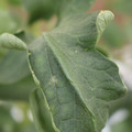 085002_20180816081032_05.JPG