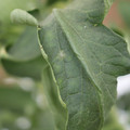 085002_20180816081034_01.JPG