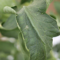 085002_20180816081034_02.JPG