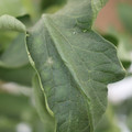 085002_20180816081035_04.JPG