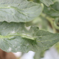 085002_20181016105108_01.JPG