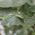 085002_20181016105110_01.JPG