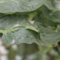 085002_20181016105110_02.JPG