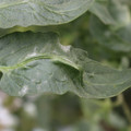 085002_20181016105110_03.JPG
