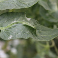 085002_20181016105110_04.JPG