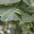 085002_20181016105110_05.JPG