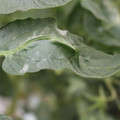 085002_20181016105111_03.JPG