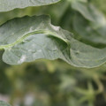 085002_20181016105111_04.JPG