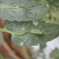 085002_20181016105113_02.JPG